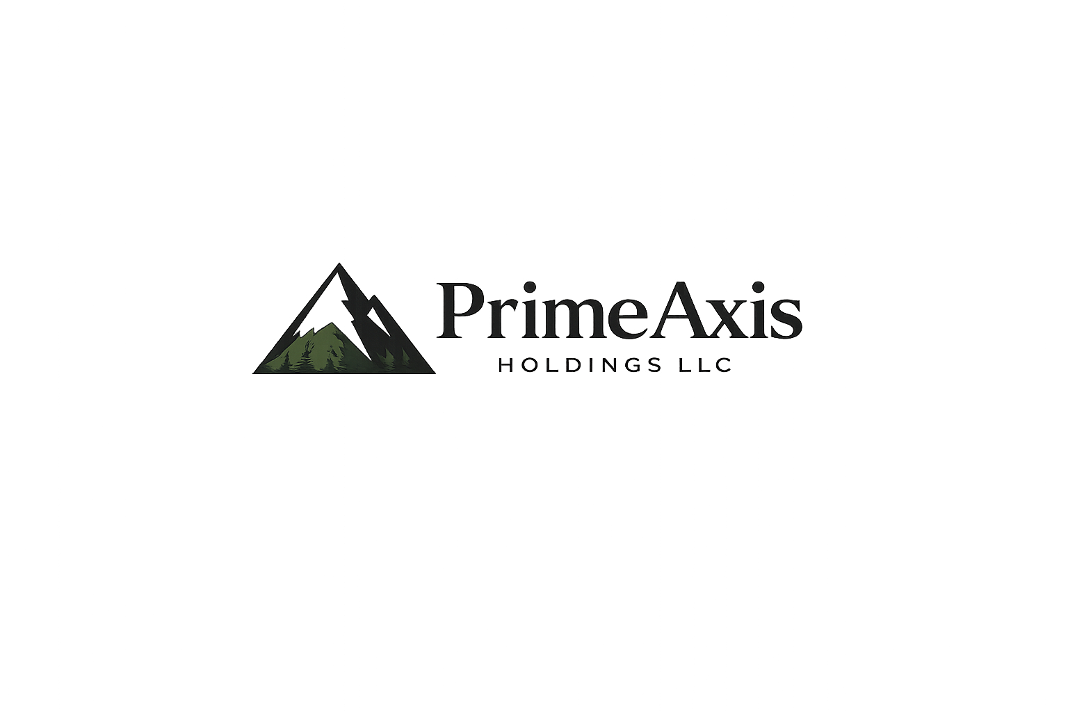 PrimeAxis Holdings LLC